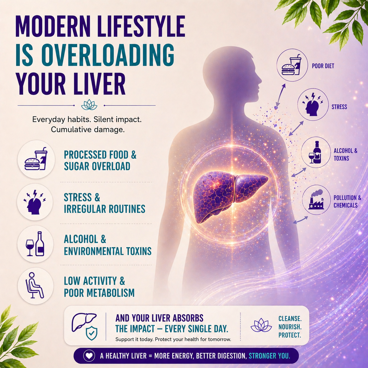 LivTox – Gentle Support for a Strong, Healthy Liver
