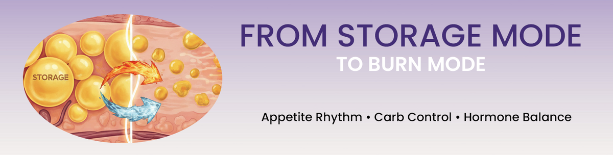 Helps Shift Body From Fat Storage Mode To Fat Utilization Mode