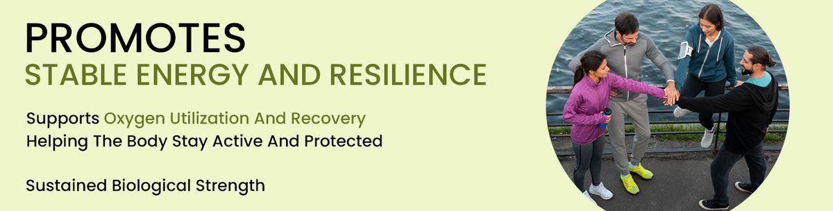 Supports Energy And Recovery During Stress