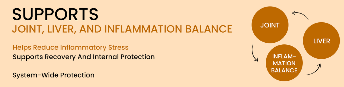 Supports Joint Health, Liver Function, And Inflammation Balance