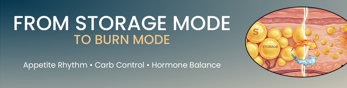 Helps Shift Body From Fat Storage Mode To Fat Burn Mode