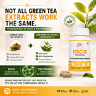EGCG - Clean Active Living