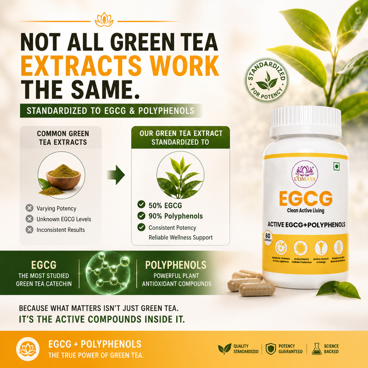 EGCG - Clean Active Living
