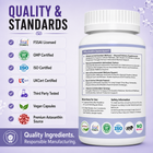 OxyZen - Daily Cellular Defense
