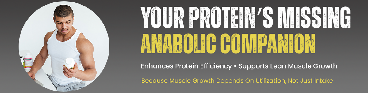 Works As An Anabolic Companion To Your Protein Intake