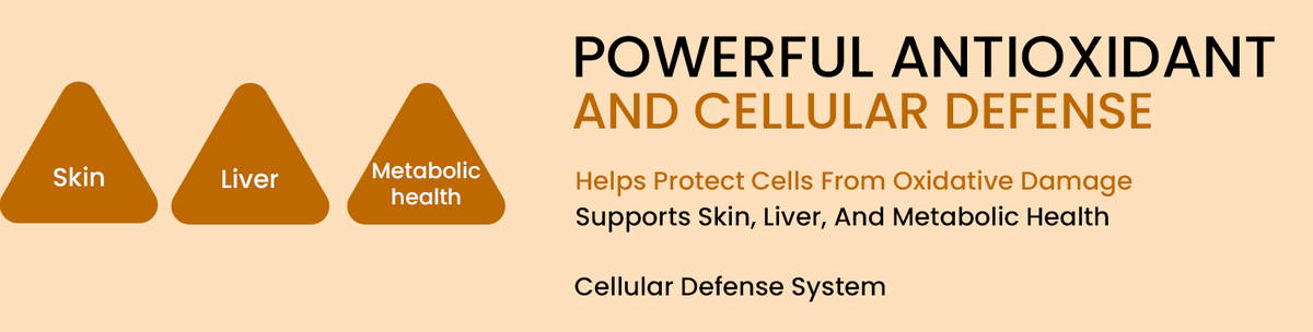 Provides Powerful Cellular Antioxidant Protection