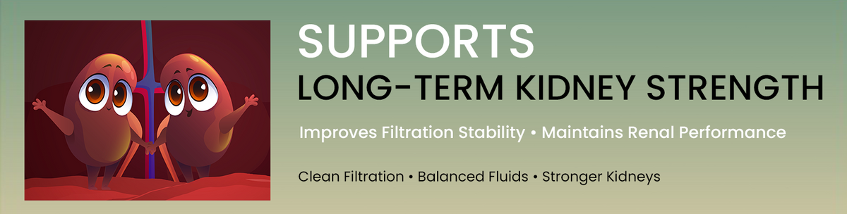 Supports Long-Term Kidney Strength And Detox Efficiency
