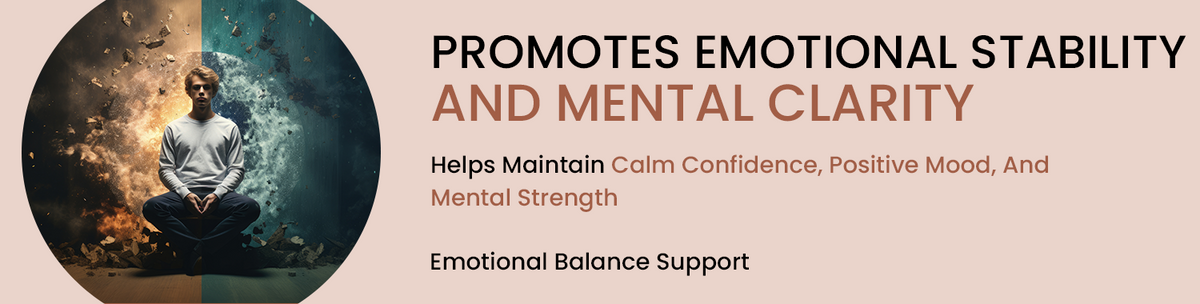 Emotional Stability Framework