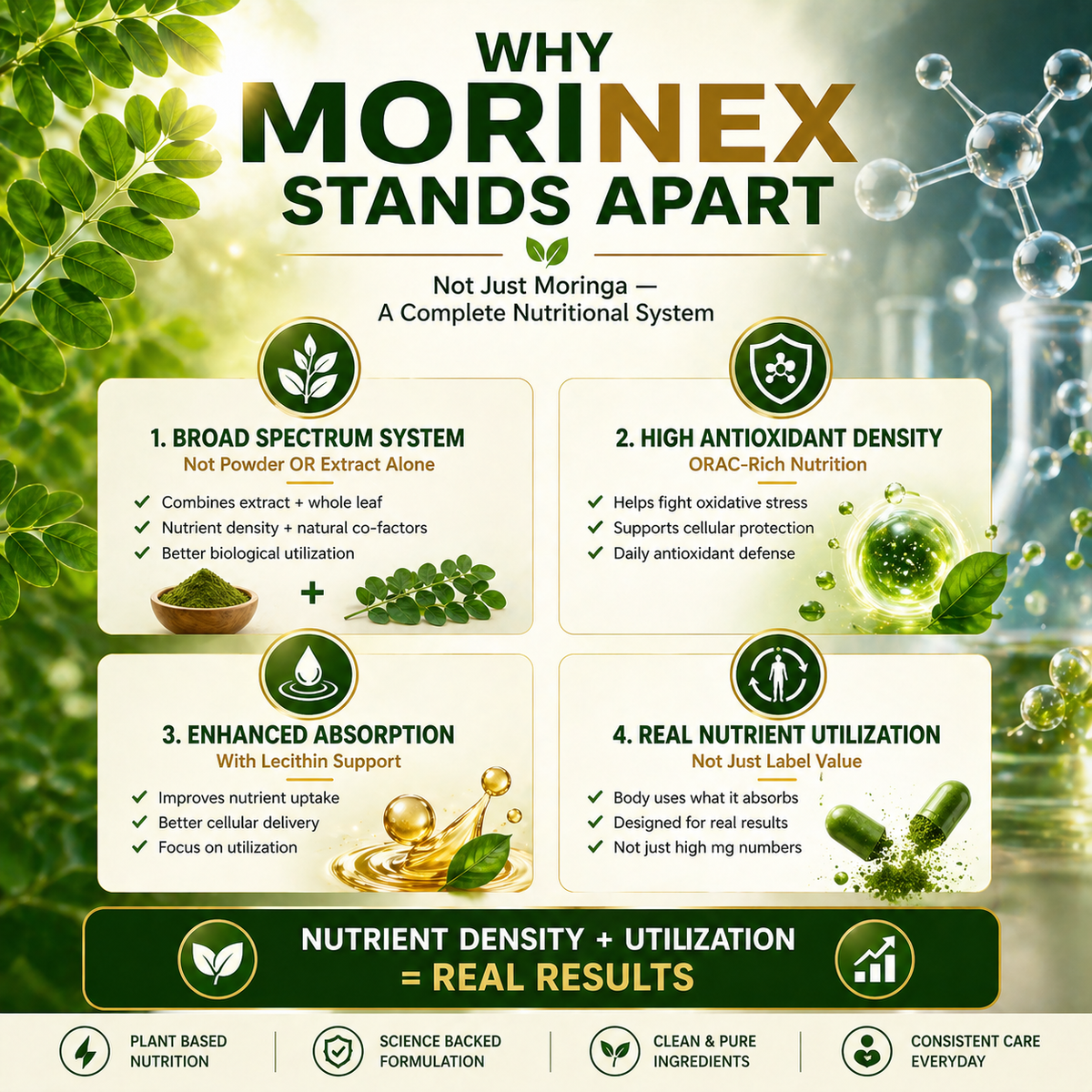MoriNex – Holistic Wellness & Natural Energy Support