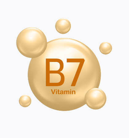 Biotin (Vitamin B7)