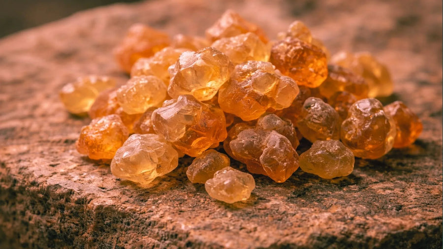 Boswellia Serrata Extract