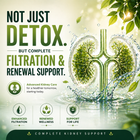 NephraZen – Nourish Your Kidneys. Naturally.