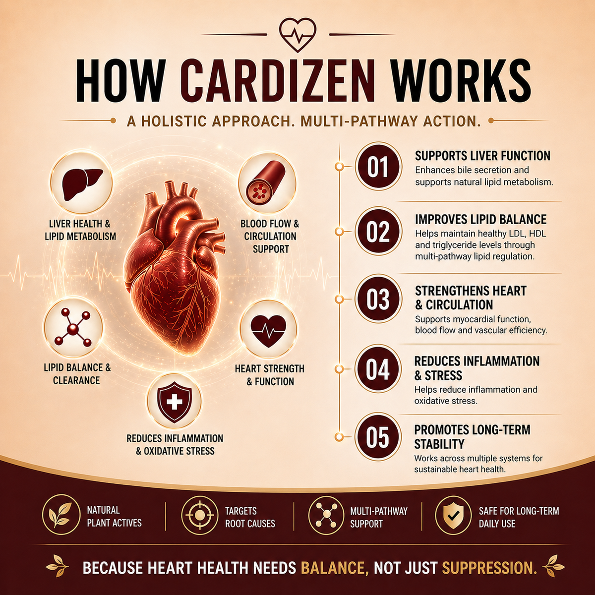 CardiZen – Natural Cholesterol Harmony & Heart Resilience