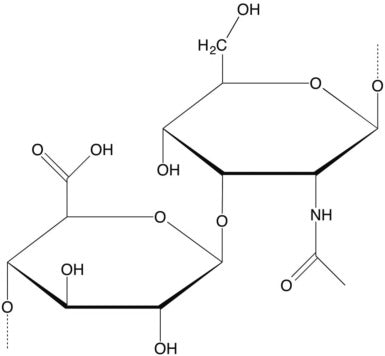 Hyaluronic Acid