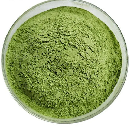 Moringa Extract — Standardized Nutrient-Dense Extract 