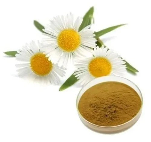 Standardized Chamomile Extract