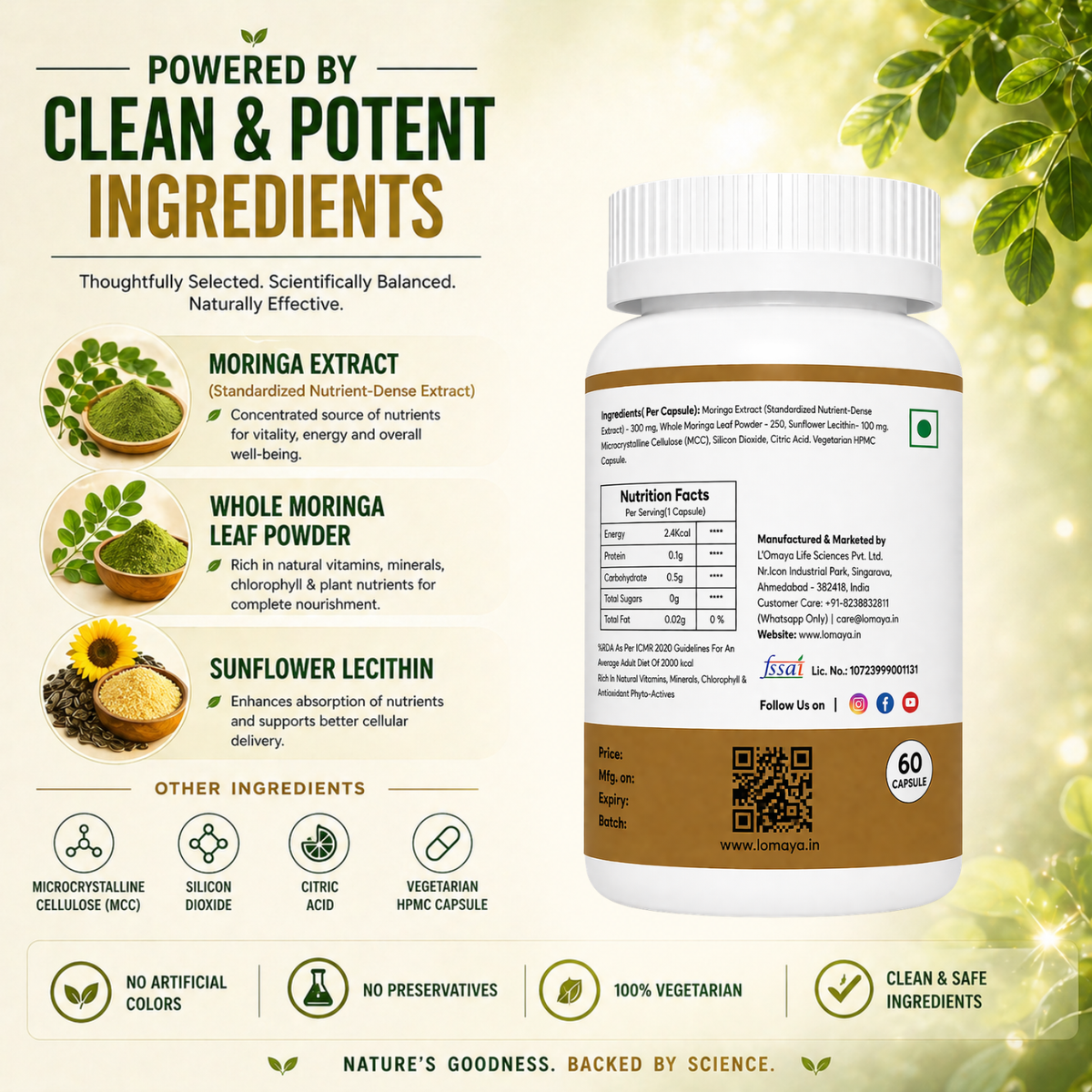 MoriNex – Holistic Wellness & Natural Energy Support