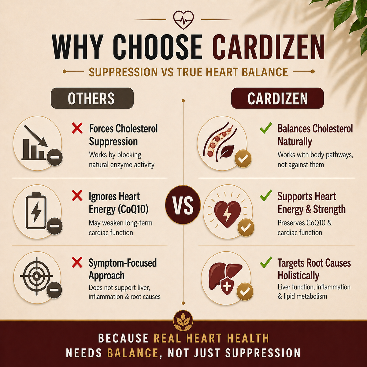 CardiZen – Natural Cholesterol Harmony & Heart Resilience