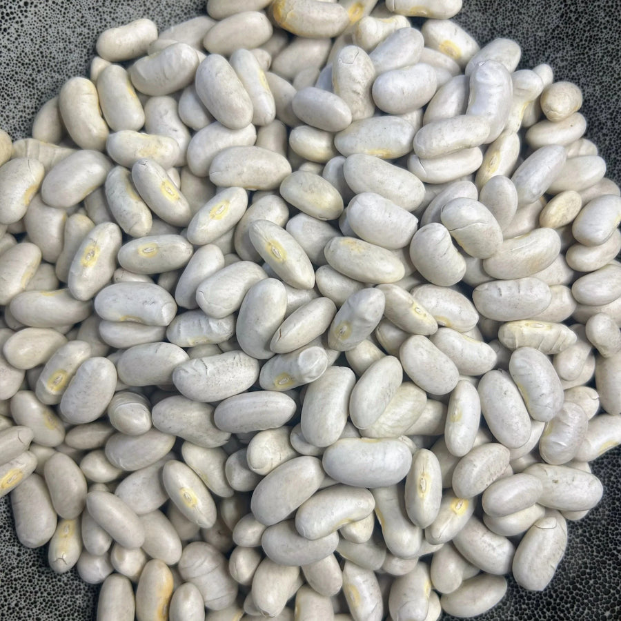 WKB20K® – US FDA DMF Registered