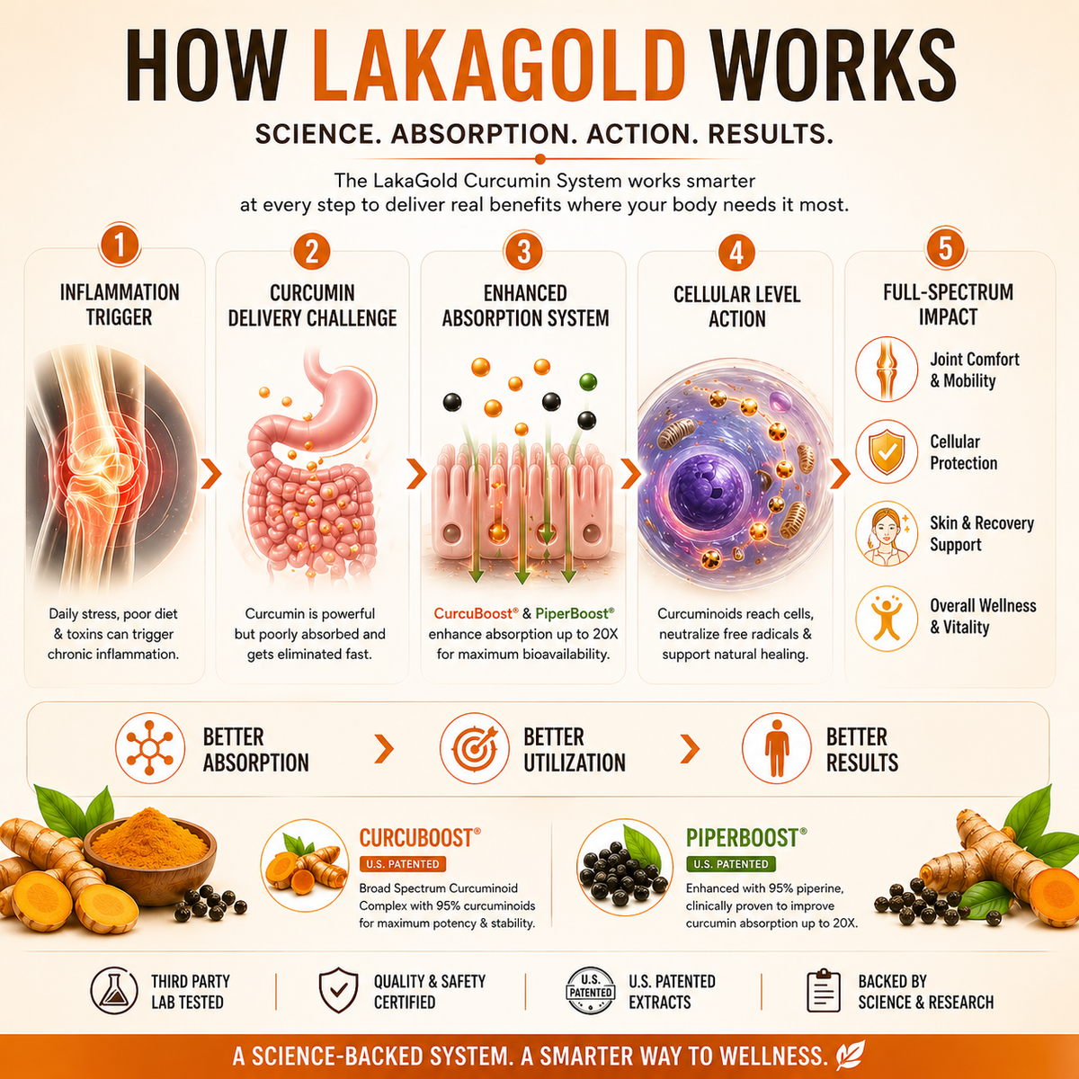 LakaGold – Turmeric Power for Joint, Immunity & Vitality
