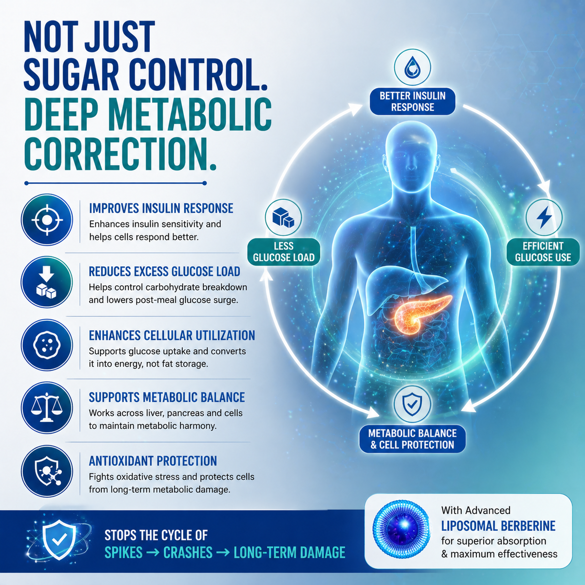 GlucoZen – Sugar for Energy, Not for Worry
