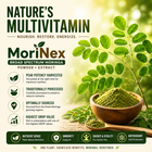 MoriNex – Holistic Wellness & Natural Energy Support