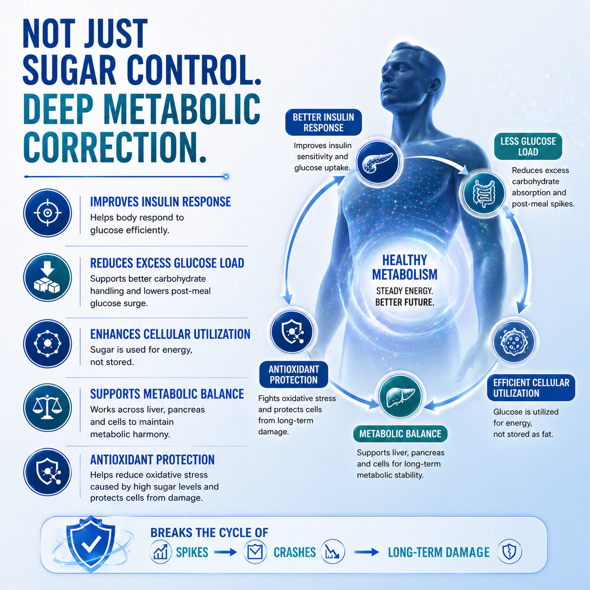 GlucoZen – Sugar for Energy, Not for Worry