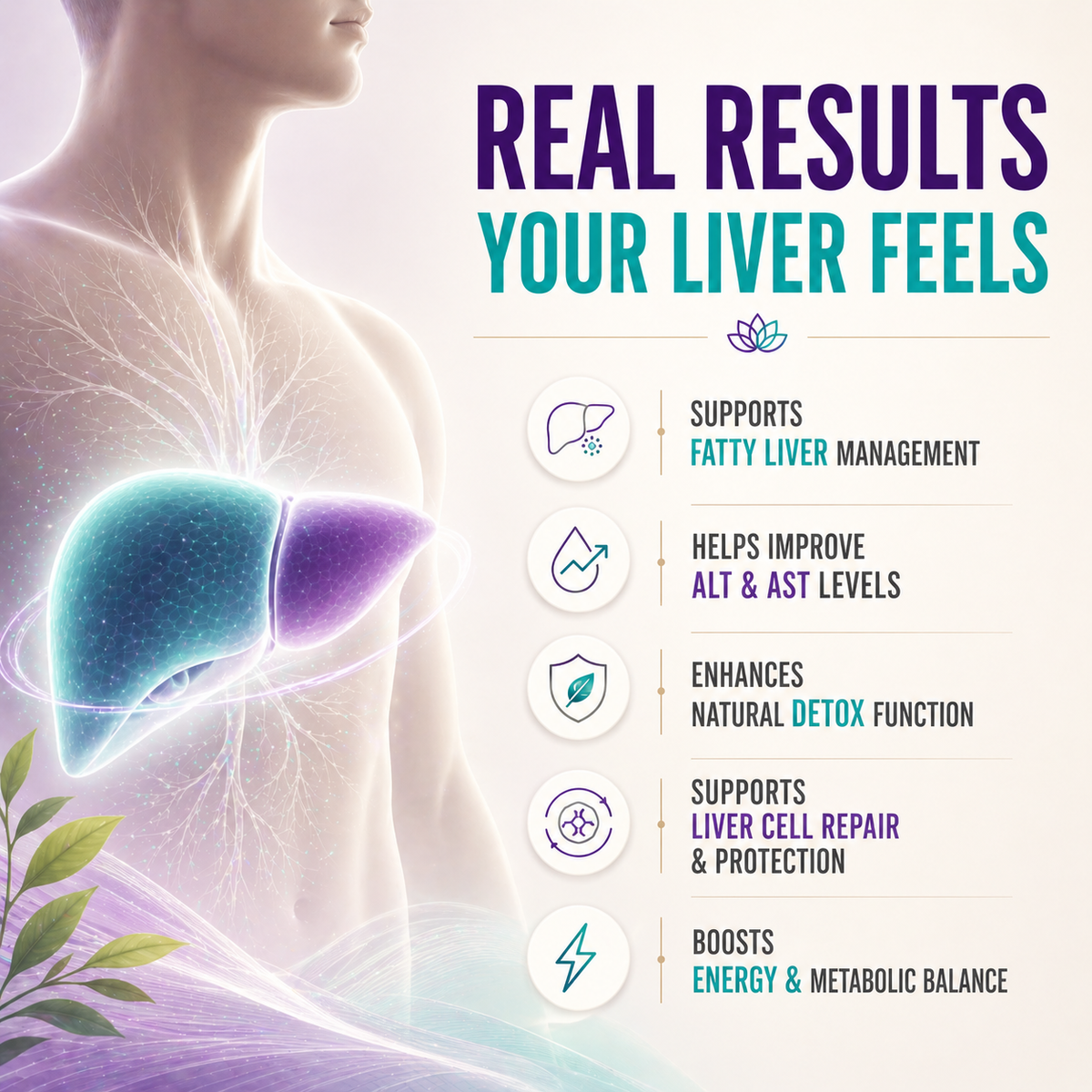LivTox – Gentle Support for a Strong, Healthy Liver