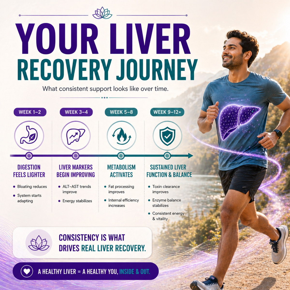 LivTox – Gentle Support for a Strong, Healthy Liver